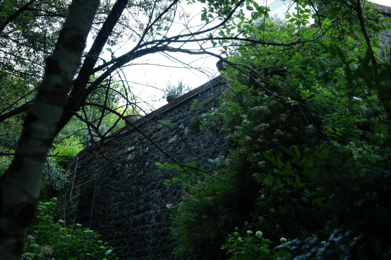 Mulino di Castelvecchio Villa Borgo a Buggiano Esterno foto